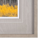 Aspen Trees 4 by Jamie Cook a Hand Embelished Textured Framed Photo Art Print Matted under Glass from Mercana - Luna Furniture