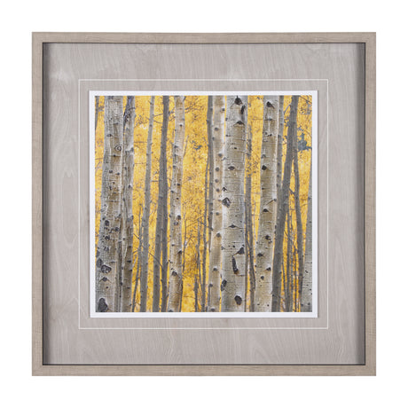 Aspen Trees 3 by Jamie Cook a Hand Embelished Textured Framed Photo Art Print Matted under Glass from Mercana - Luna Furniture