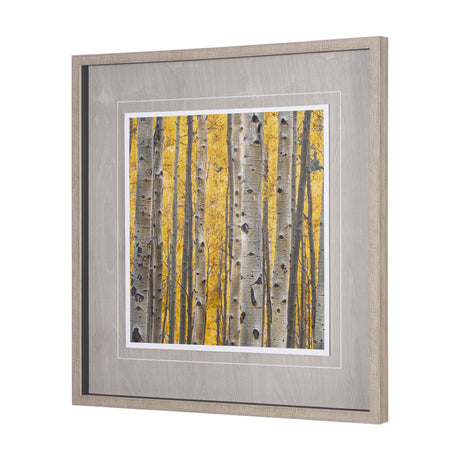 Aspen Trees 3 by Jamie Cook a Hand Embelished Textured Framed Photo Art Print Matted under Glass from Mercana - Luna Furniture