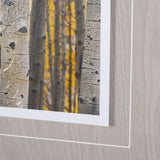 Aspen Trees 3 by Jamie Cook a Hand Embelished Textured Framed Photo Art Print Matted under Glass from Mercana - Luna Furniture