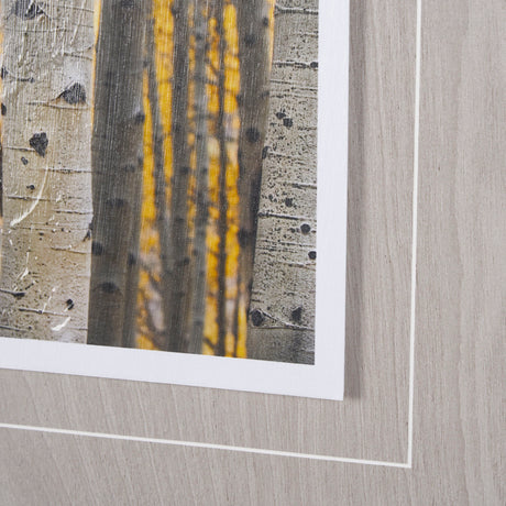 Aspen Trees 3 by Jamie Cook a Hand Embelished Textured Framed Photo Art Print Matted under Glass from Mercana - Luna Furniture