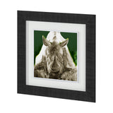 Rhino Green by Mercana Studio a Hand Embellished Textured Framed Art Print Matted under Glass from Mercana - Luna Furniture