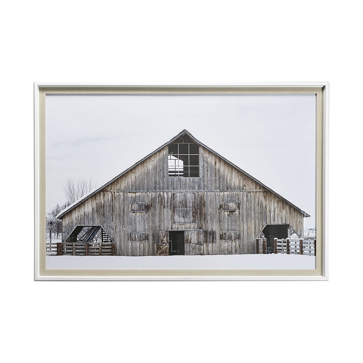 AWHC Barn 1 by Chris Dunker a Framed Photo Art Print Matted under Glass from Mercana - Luna Furniture