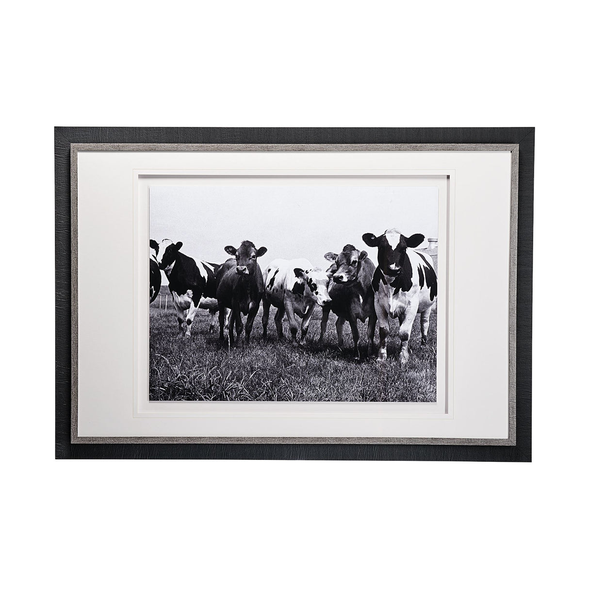 Curiosity by The Vintage Collection a Hand Embellished Textured Framed Art Photo Matted under Glass from Mercana - Luna Furniture