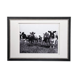 Curiosity by The Vintage Collection a Hand Embellished Textured Framed Art Photo Matted under Glass from Mercana - Luna Furniture