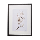 Magnolia III by Gabrielle C a Framed Art Print Matted under Glass from Mercana - Luna Furniture