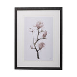 Magnolia I by Gabrielle C a Framed Art Print Matted under Glass from Mercana - Luna Furniture