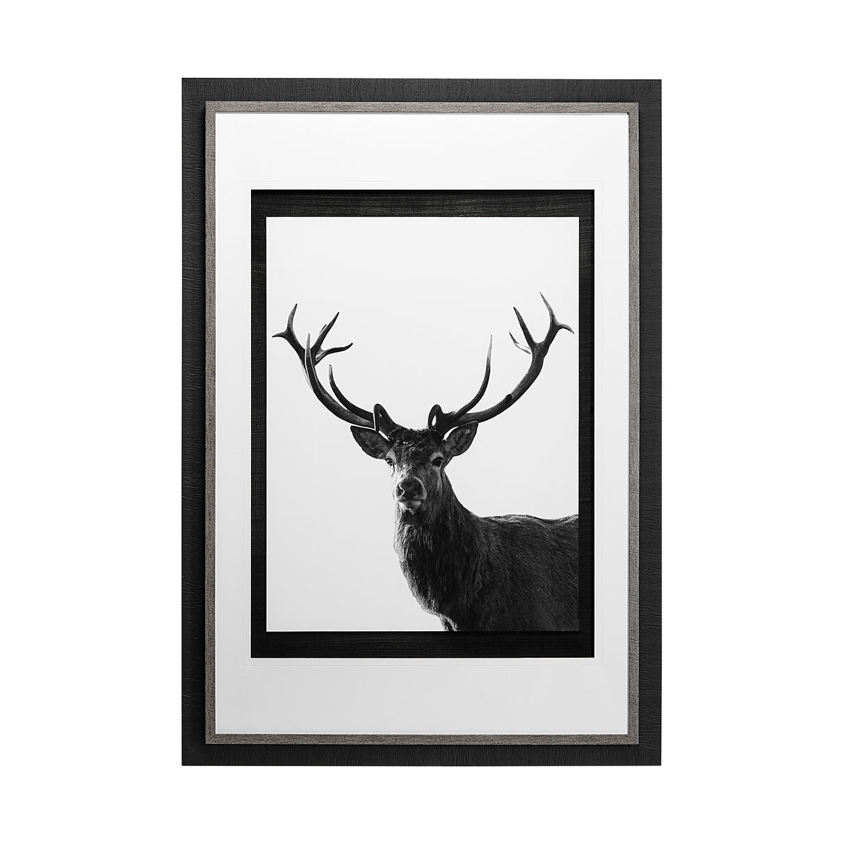 Forest Royal Grand by Matthew Roseveare Hand Embelished Textured Framed Art Photo Matted under Glass from Mercana - Luna Furniture