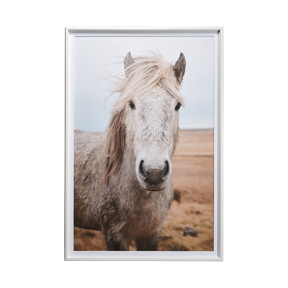 49822 Heida I by Laura Marshall a Framed Photo Art Print Matted under Glass from Mercana - Luna Furniture