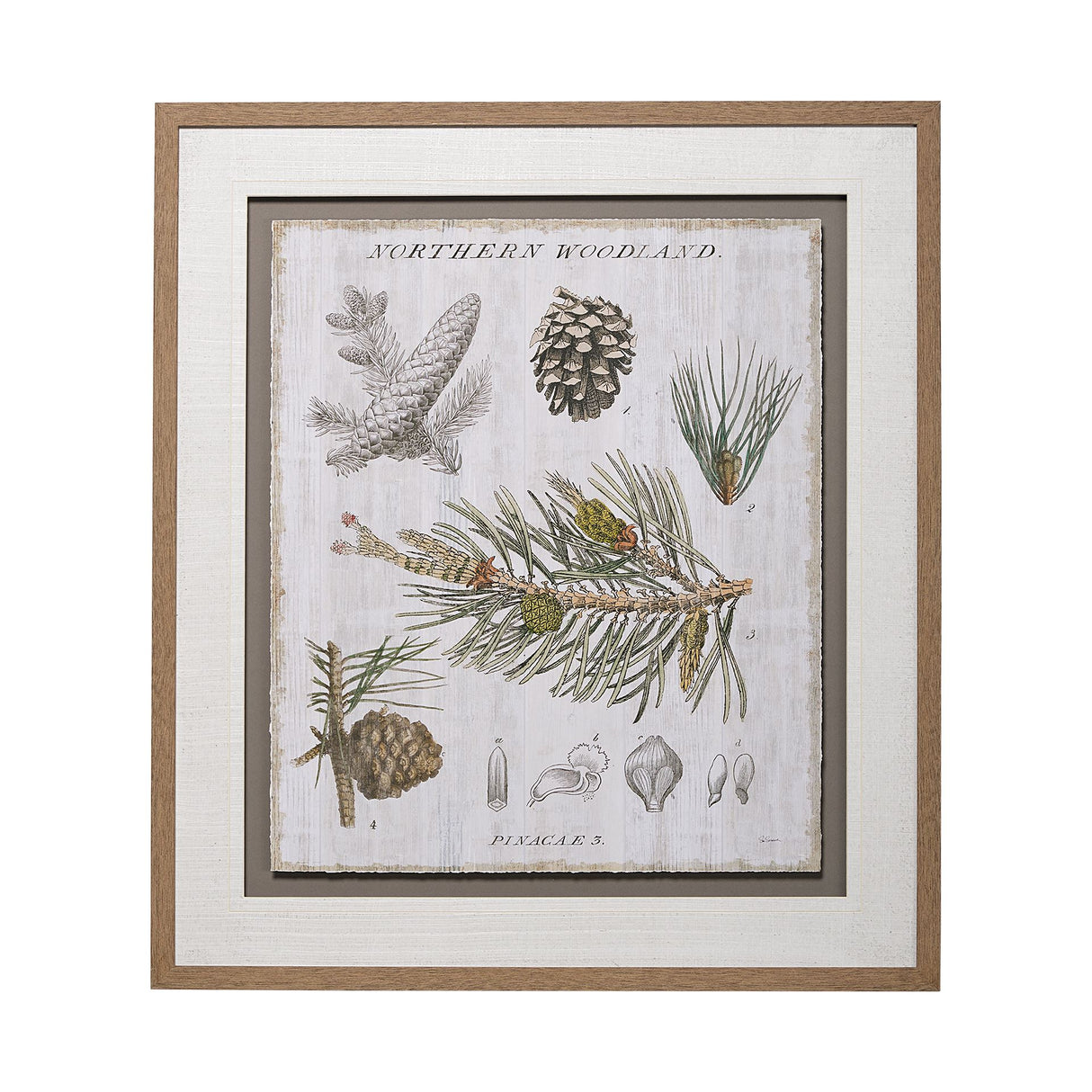Woodland Chart III by Sue Schlabach a Hand Embellished Textured Framed Art Print Matted under Glass from Mercana - Luna Furniture