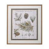 Woodland Chart III by Sue Schlabach a Hand Embellished Textured Framed Art Print Matted under Glass from Mercana - Luna Furniture