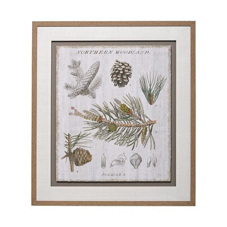 Woodland Chart III by Sue Schlabach a Hand Embellished Textured Framed Art Print Matted under Glass from Mercana - Luna Furniture