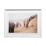 Horses of Hofn II by Laura Marshall a Framed Photo Art Print Matted under Glass from Mercana - Luna Furniture