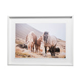 Horses of Hofn I by Laura Marshall a Framed Photo Art Print Matted under Glass from Mercana - Luna Furniture