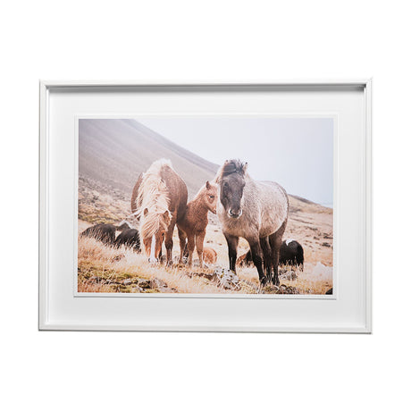 Horses of Hofn I by Laura Marshall a Framed Photo Art Print Matted under Glass from Mercana - Luna Furniture