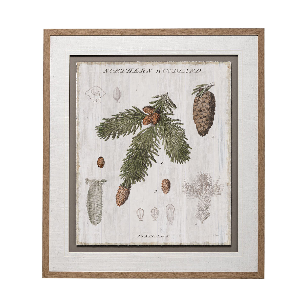 Woodland Chart V by Sue Schlabach a Hand Embellished Textured Framed Art Print Matted under Glass from Mercana - Luna Furniture