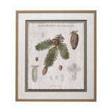 Woodland Chart V by Sue Schlabach a Hand Embellished Textured Framed Art Print Matted under Glass from Mercana - Luna Furniture