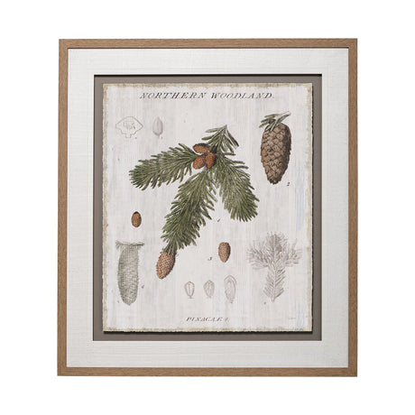 Woodland Chart V by Sue Schlabach a Hand Embellished Textured Framed Art Print Matted under Glass from Mercana - Luna Furniture