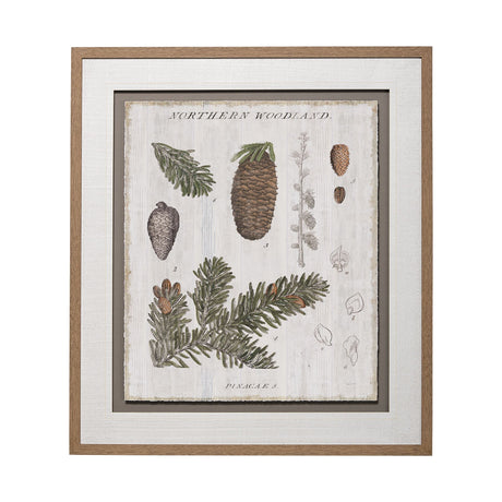 Woodland Chart IV by Sue Schlabach a Hand Embellished Textured Framed Art Print Matted under Glass from Mercana - Luna Furniture