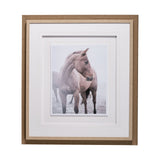 Horse 9 by Chris Dunker a Framed Photo Art Print Matted under Glass from Mercana - Luna Furniture
