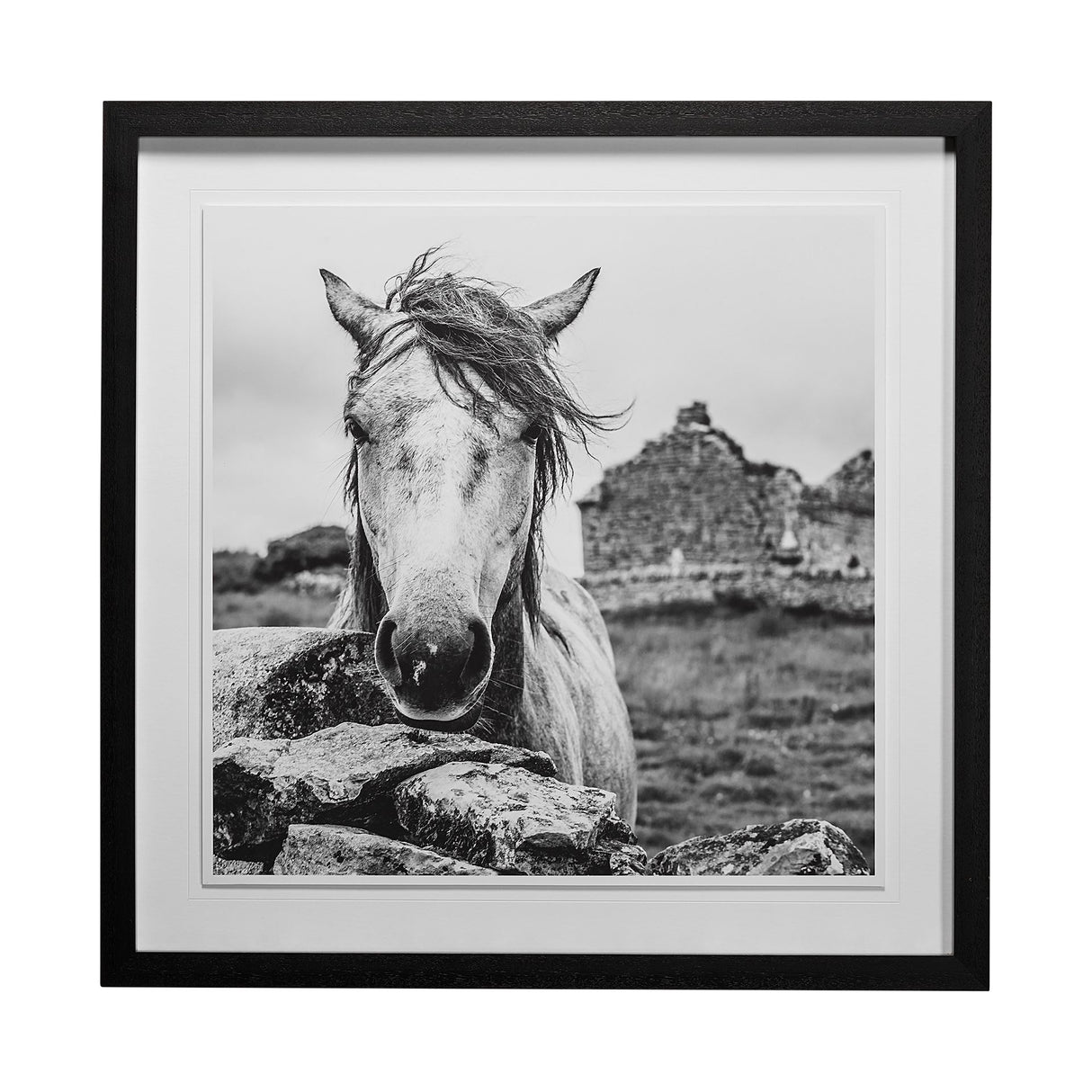 Ireland Black & White by Arabella Studios a Framed Photo Art Print Matted under Glass from Mercana - Luna Furniture