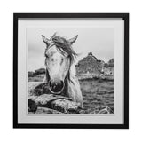 Ireland Black & White by Arabella Studios a Framed Photo Art Print Matted under Glass from Mercana - Luna Furniture