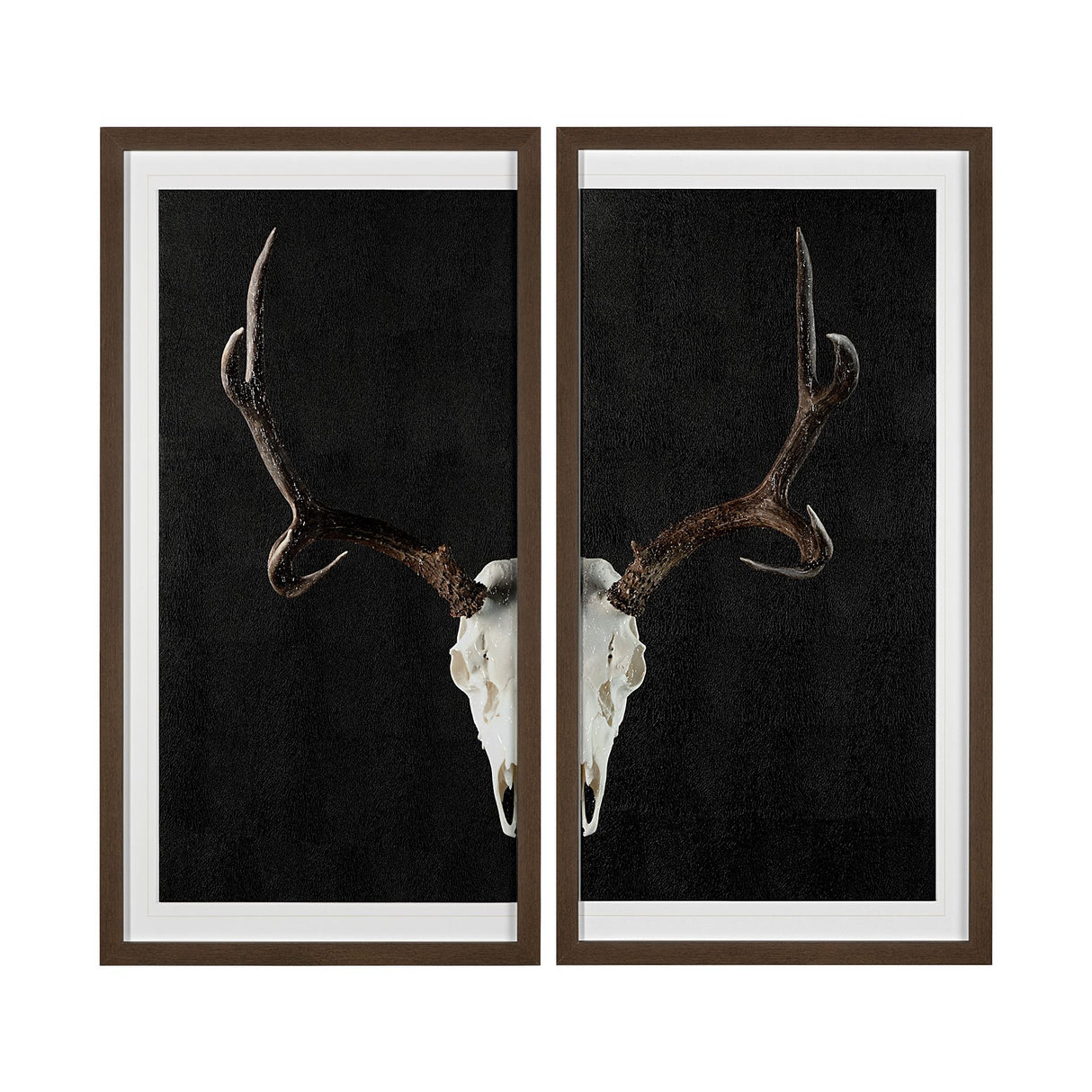 Deer Skull-L by Chris Dunker a Hand Embellished Textured Framed Art Print Matted under Glass from Mercana - Luna Furniture