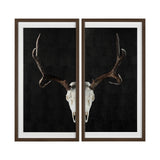 Deer Skull-L by Chris Dunker a Hand Embellished Textured Framed Art Print Matted under Glass from Mercana - Luna Furniture
