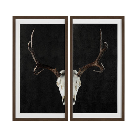 Deer Skull-L by Chris Dunker a Hand Embellished Textured Framed Art Print Matted under Glass from Mercana - Luna Furniture