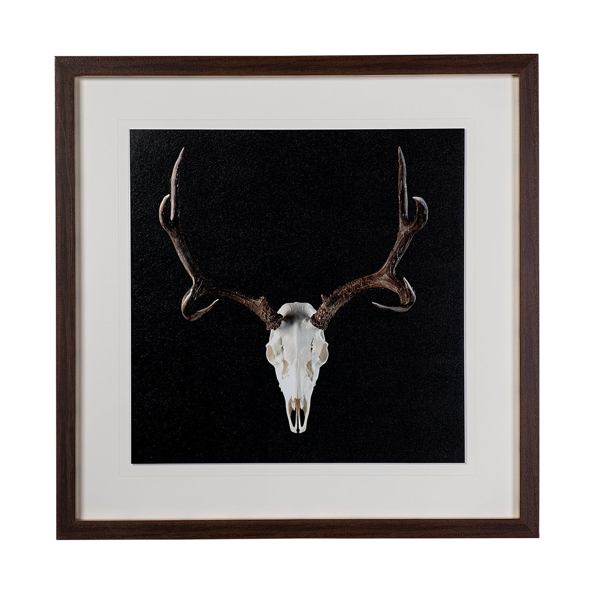 Deer Skull by Chris Dunker a Hand Embelished Textured Framed Art Print Matted under Glass from Mercana - Luna Furniture