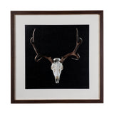 Deer Skull by Chris Dunker a Hand Embelished Textured Framed Art Print Matted under Glass from Mercana - Luna Furniture