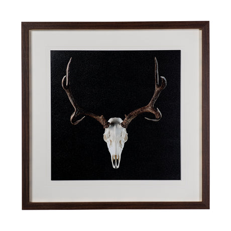 Deer Skull by Chris Dunker a Hand Embelished Textured Framed Art Print Matted under Glass from Mercana - Luna Furniture