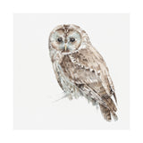 Forest Friends IX (Owl) by Lisa Audit a Hand Embellished Textured Canvas from Mercana - Luna Furniture