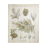 Woodland Chart III by Sue Schlabach a Hand Embellished Textured Canvas from Mercana - Luna Furniture