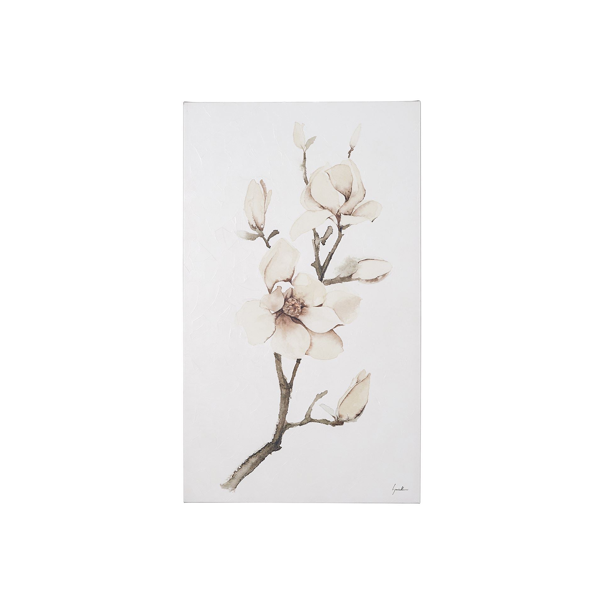 Mercana Magnolia III - Thumbnail 2