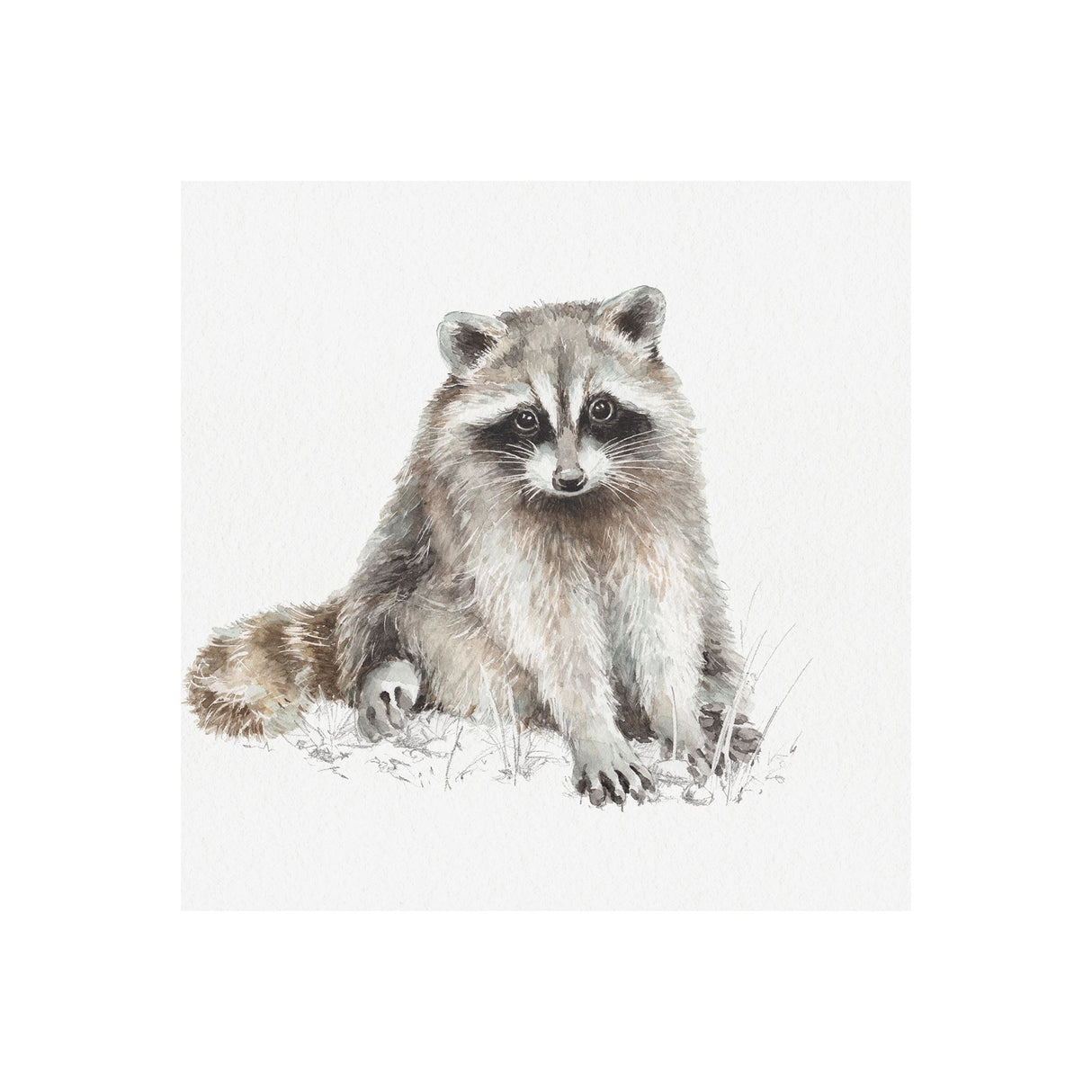 Forest Friends X (Racoon) by Lisa Audit a Hand Embellished Textured Canvas from Mercana - Luna Furniture