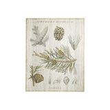 Woodland Chart III by Sue Schlabach a Hand Embellished Textured Canvas from Mercana - Luna Furniture