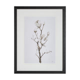Magnolia II by Gabrielle C a Framed Art Print Matted under Glass from Mercana - Luna Furniture