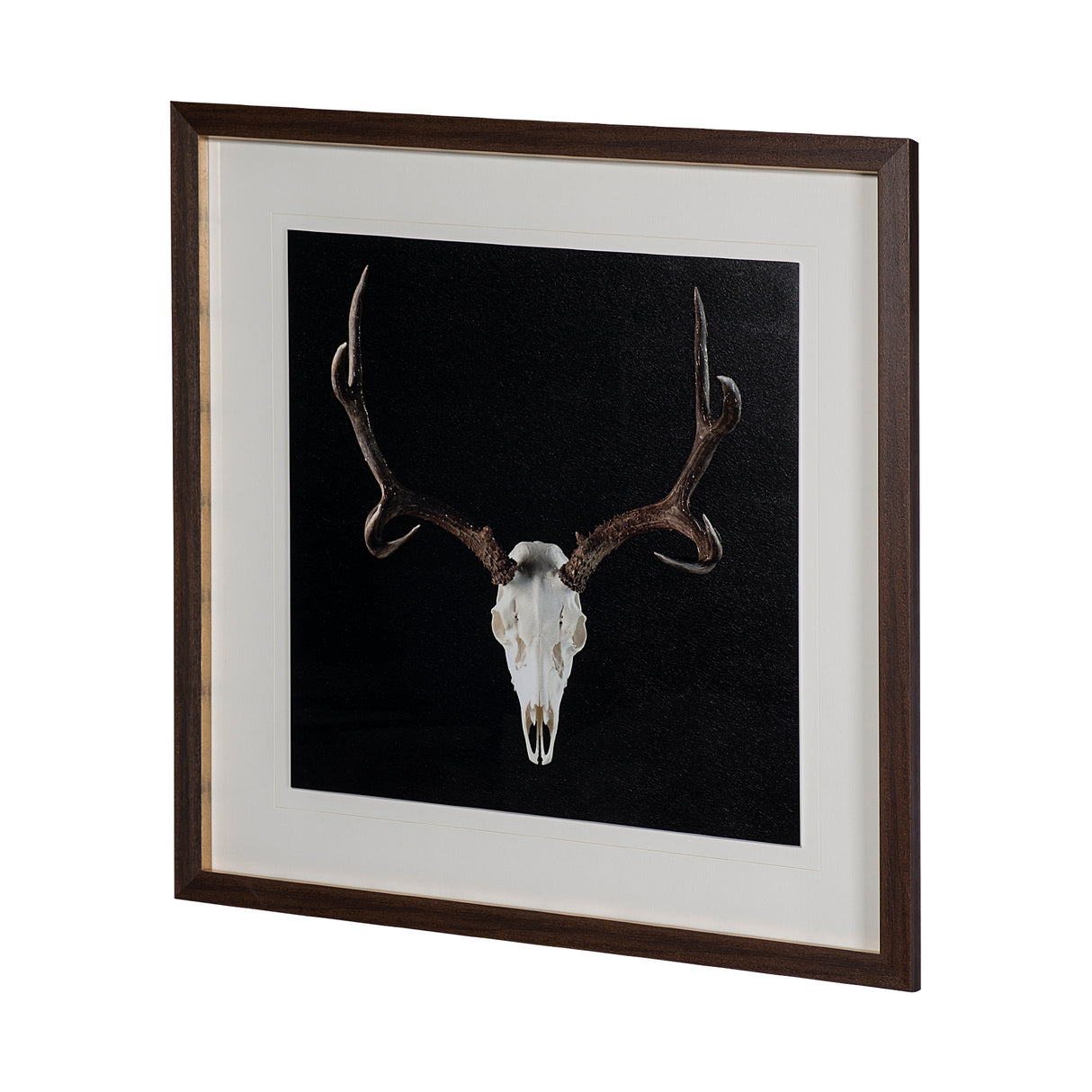 Deer Skull by Chris Dunker a Hand Embelished Textured Framed Art Print Matted under Glass from Mercana - Luna Furniture