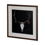 Deer Skull by Chris Dunker a Hand Embelished Textured Framed Art Print Matted under Glass from Mercana - Luna Furniture