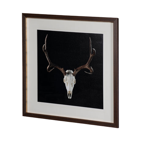 Deer Skull by Chris Dunker a Hand Embelished Textured Framed Art Print Matted under Glass from Mercana - Luna Furniture