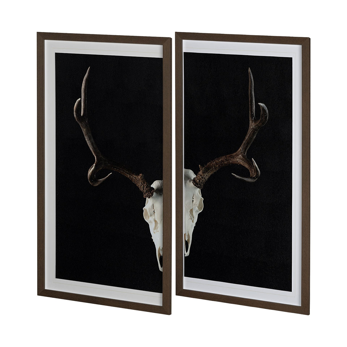 Deer Skull-L by Chris Dunker a Hand Embellished Textured Framed Art Print Matted under Glass from Mercana - Luna Furniture