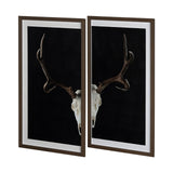 Deer Skull-L by Chris Dunker a Hand Embellished Textured Framed Art Print Matted under Glass from Mercana - Luna Furniture