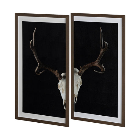 Deer Skull-L by Chris Dunker a Hand Embellished Textured Framed Art Print Matted under Glass from Mercana - Luna Furniture