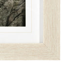 August Studios 7873 by August Studios a Framed Photo Art Print Matted under Glass from Mercana - Luna Furniture