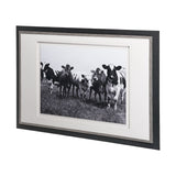 Curiosity by The Vintage Collection a Hand Embellished Textured Framed Art Photo Matted under Glass from Mercana - Luna Furniture