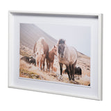 Horses of Hofn I by Laura Marshall a Framed Photo Art Print Matted under Glass from Mercana - Luna Furniture