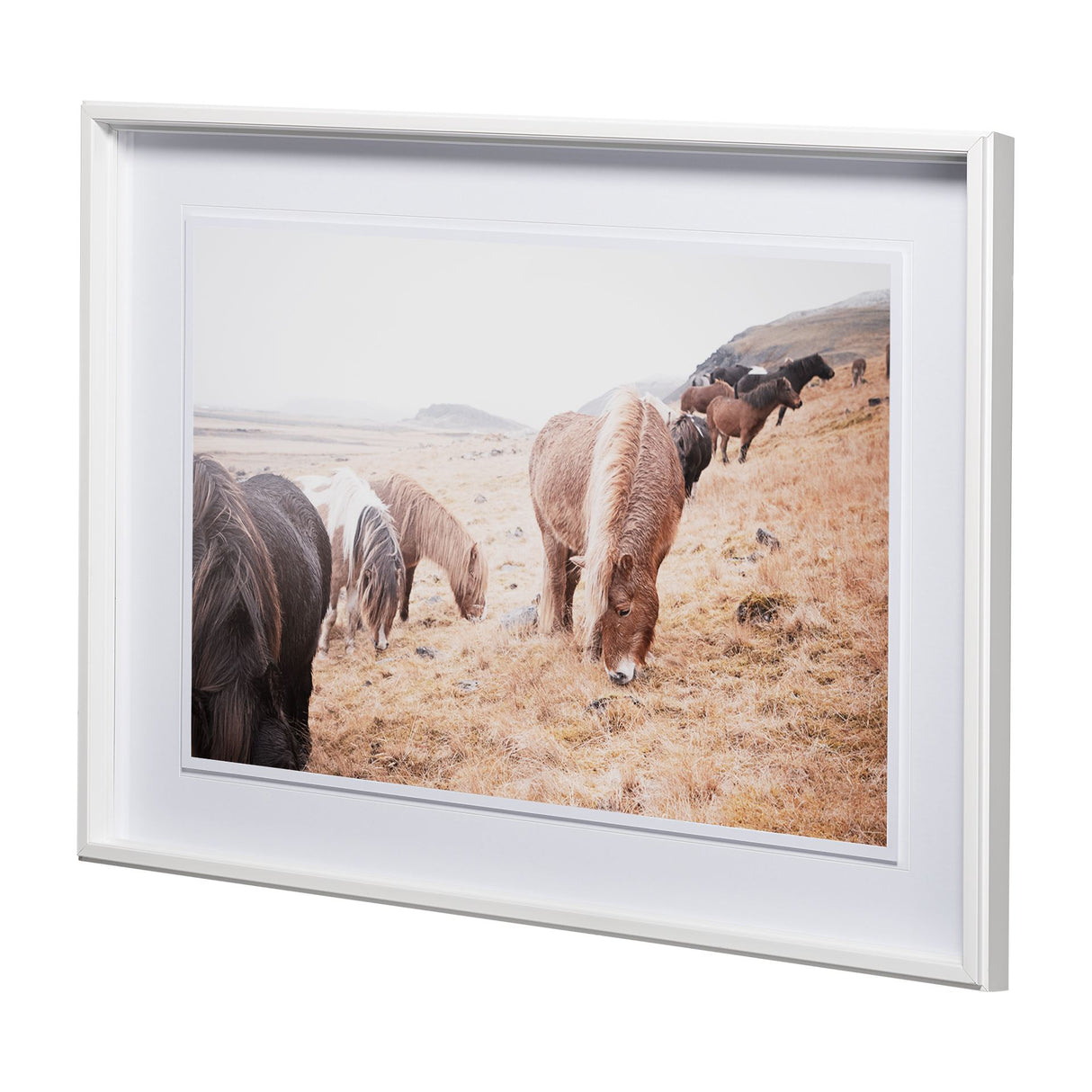 Horses of Hofn II by Laura Marshall a Framed Photo Art Print Matted under Glass from Mercana - Luna Furniture