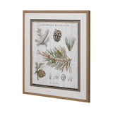 Woodland Chart III by Sue Schlabach a Hand Embellished Textured Framed Art Print Matted under Glass from Mercana - Luna Furniture
