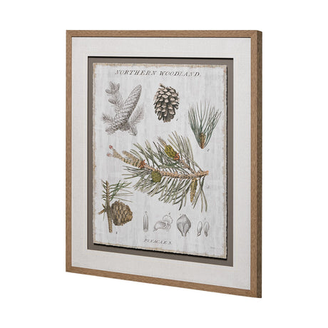 Woodland Chart III by Sue Schlabach a Hand Embellished Textured Framed Art Print Matted under Glass from Mercana - Luna Furniture